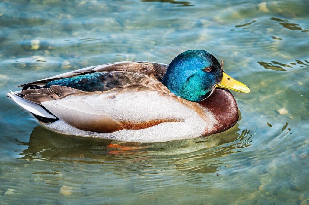 disfinancified financial guide from disquantified