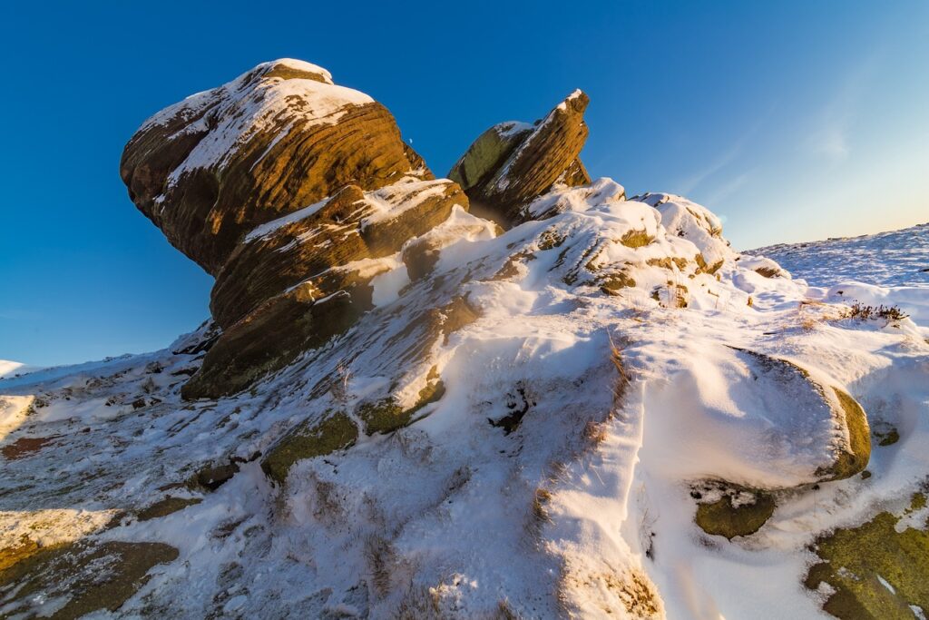 was anyone born on dec 6 2006