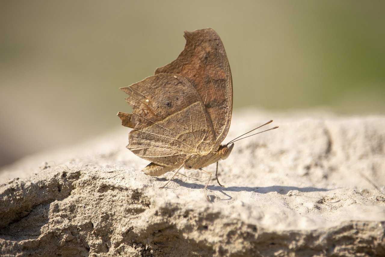 washing your face with salt water