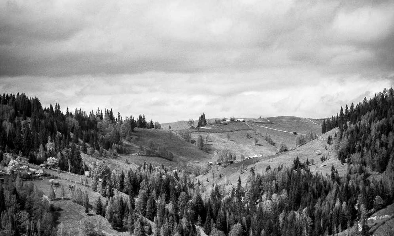 alletomir wealth management reviews