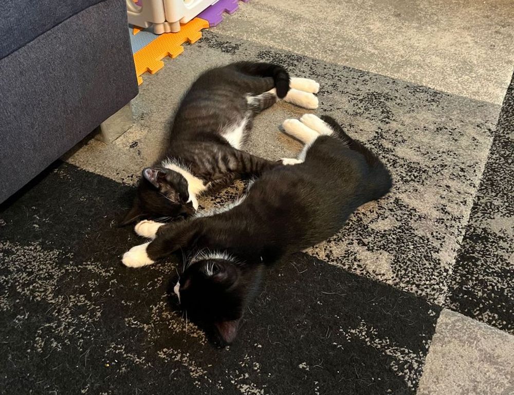 business tips disbusinessfied