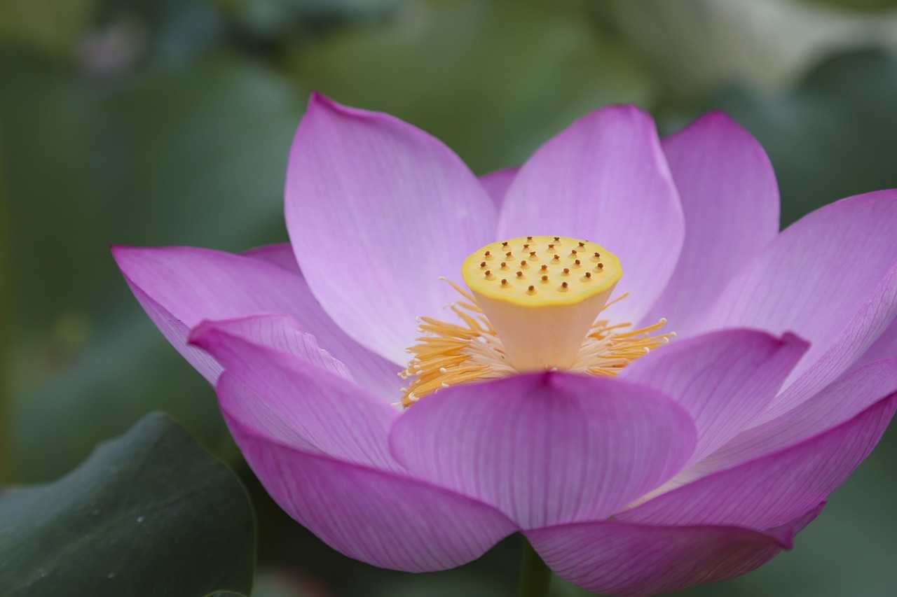 capital management aggr8budgeting