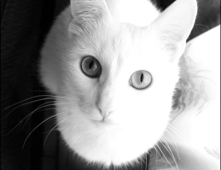 discapitalied economy updates from disquantified