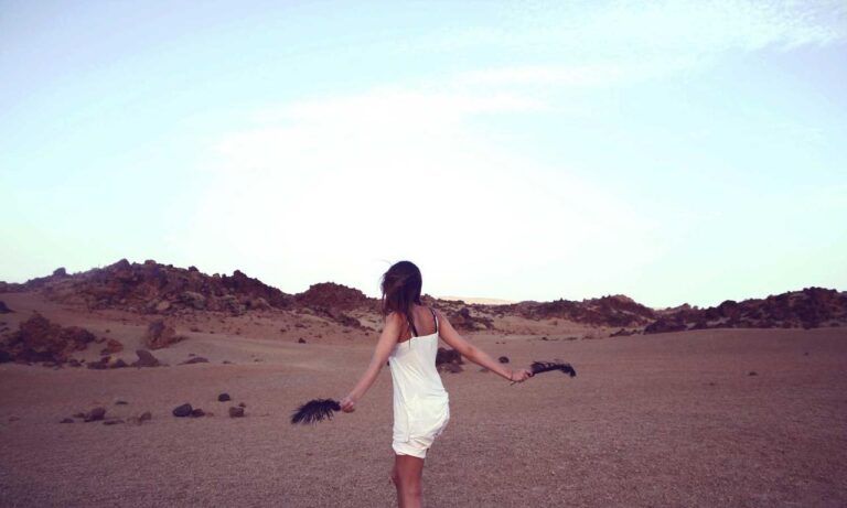 discommercified economic guide from disquantified