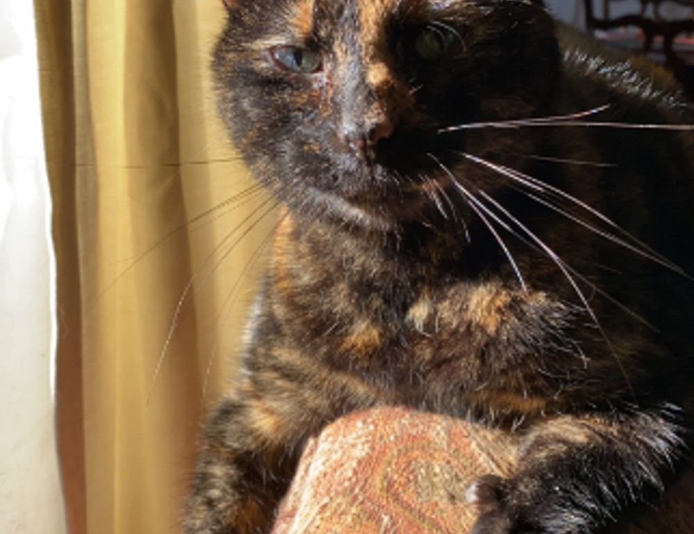 economy discapitalied