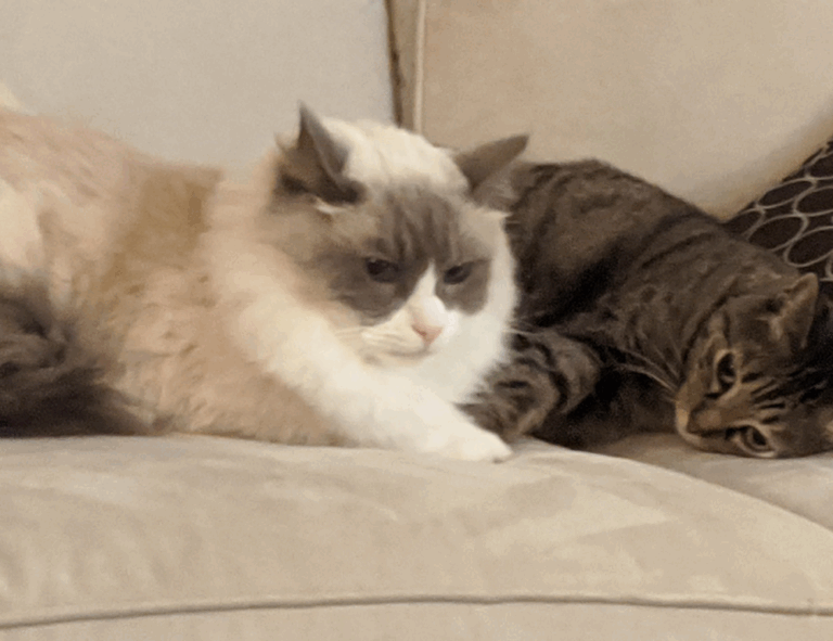 economy news ontpinvest