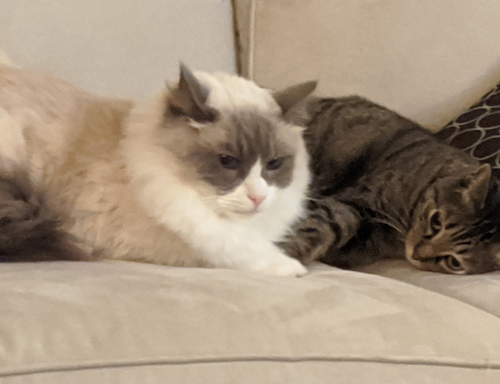 economy news ontpinvest