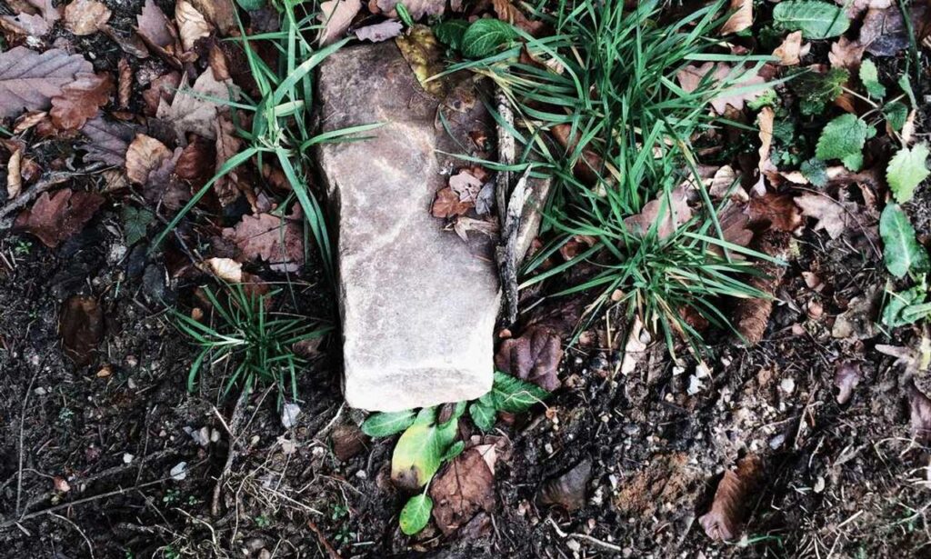 finance guide disbusinessfied