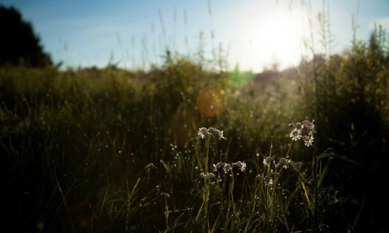 financial news aggr8budgeting