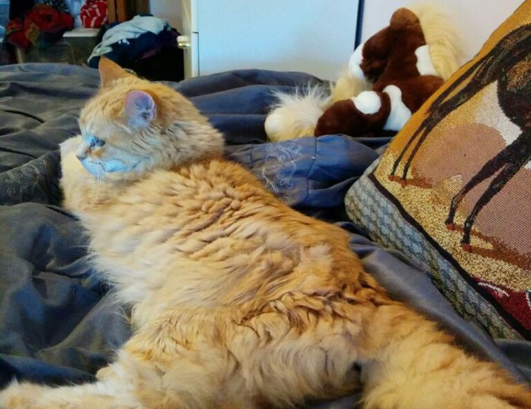 financial ontpinvest