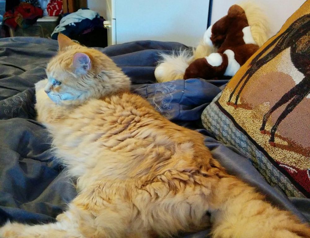 financial ontpinvest