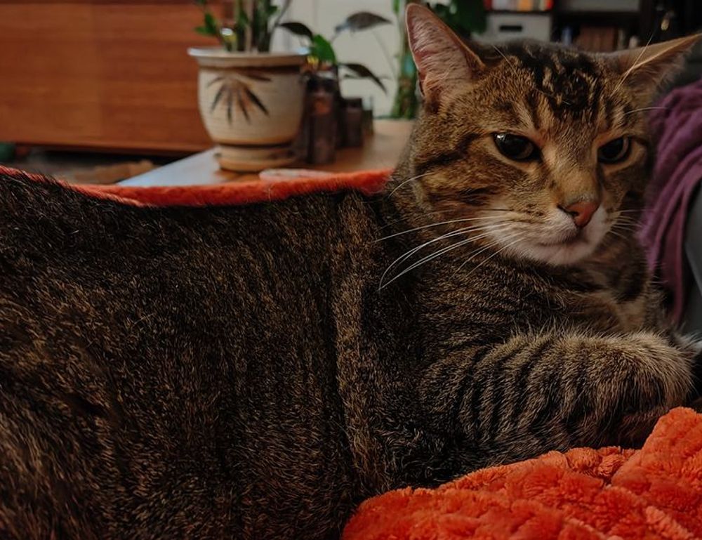 flexible budgeting aggr8budgeting by aggreg8