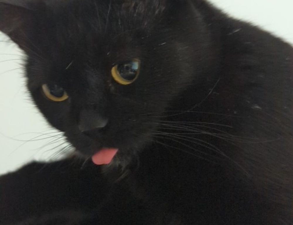 how much should financial advice cost ontpinvest