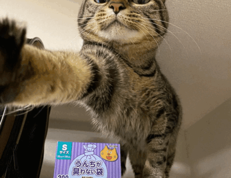 how to invest tips discommercified