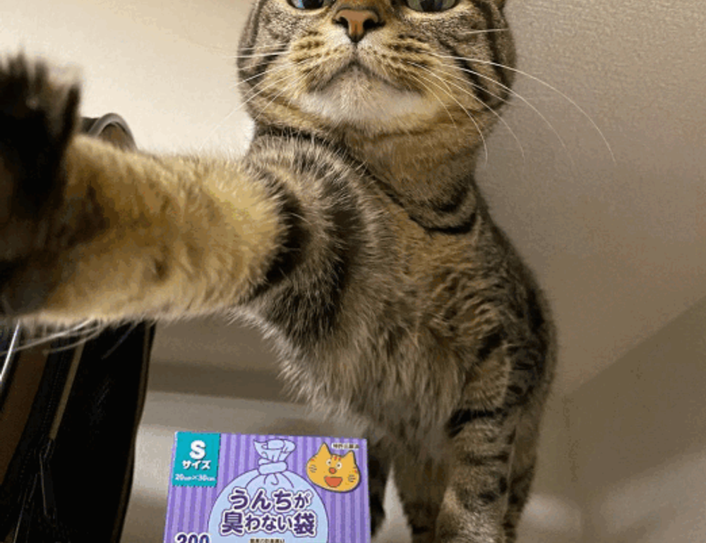 how to invest tips discommercified