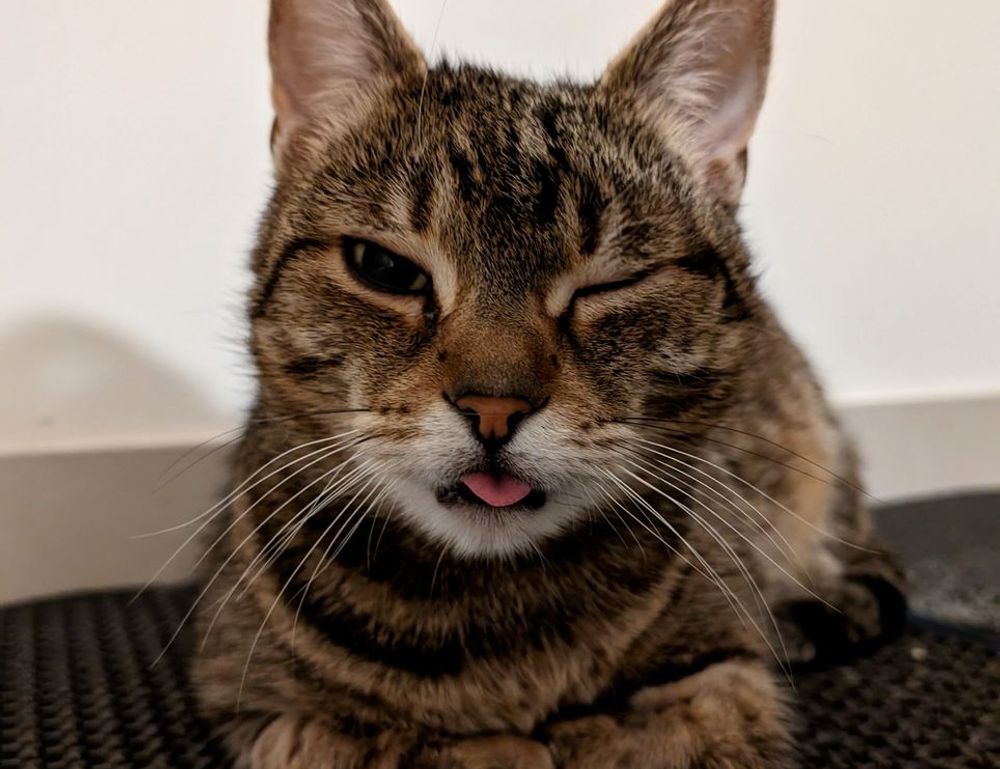 how to raise capital for a fund discapitalied