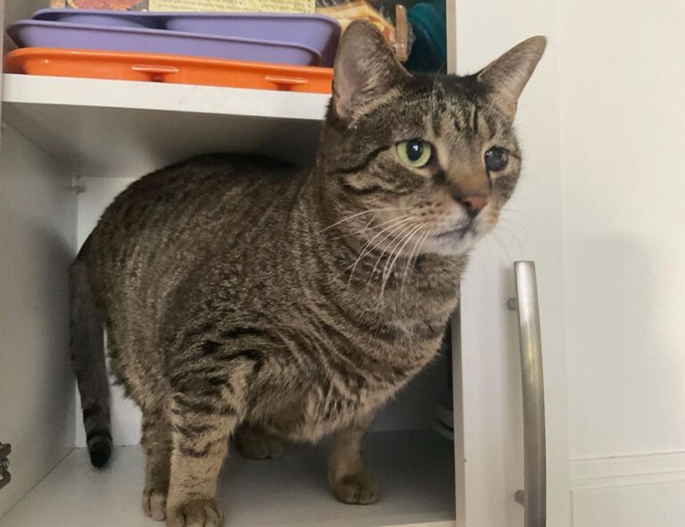 investment hacks disbusinessfied