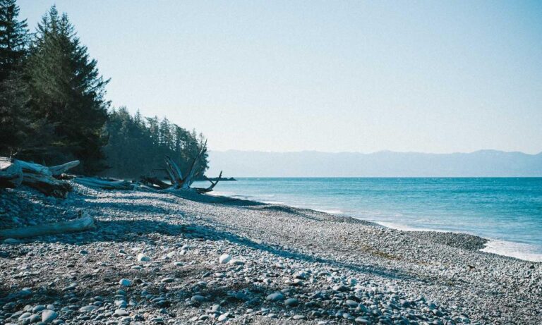 investment tips discommercified