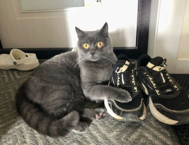 money disbusinessfied