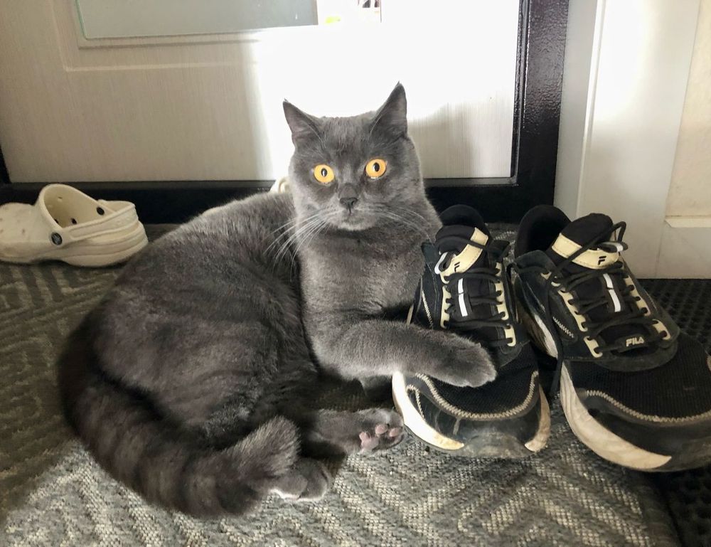 money disbusinessfied