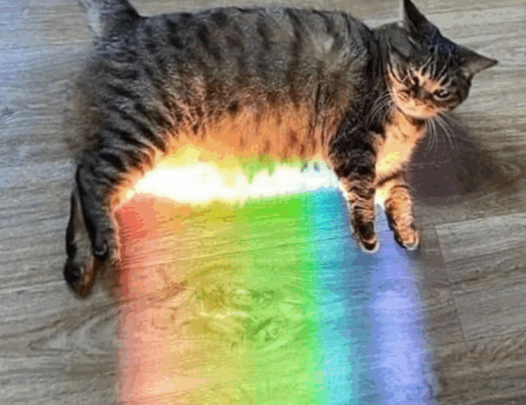 money management ontpinvest