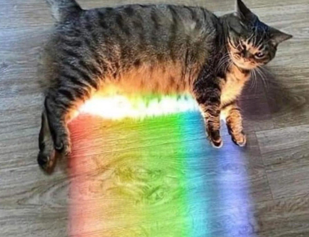 money management ontpinvest