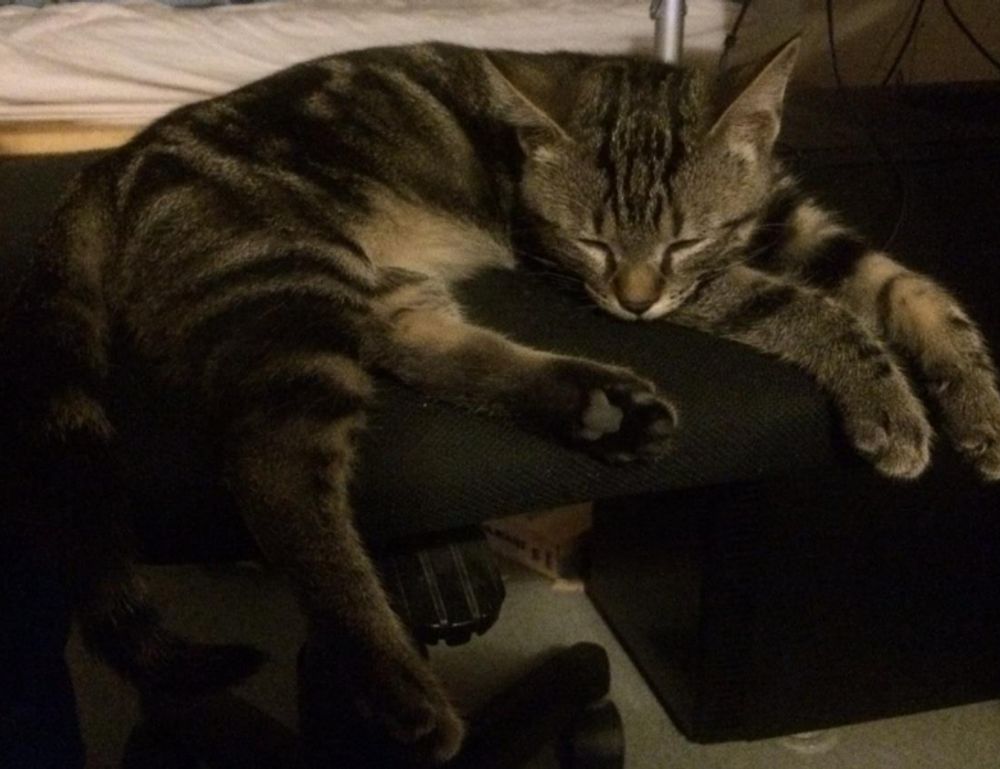 ontpinvest investing ideas from ontpress