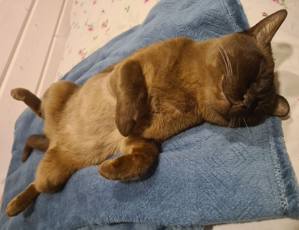 what are good ideas for business aggr8budgeting