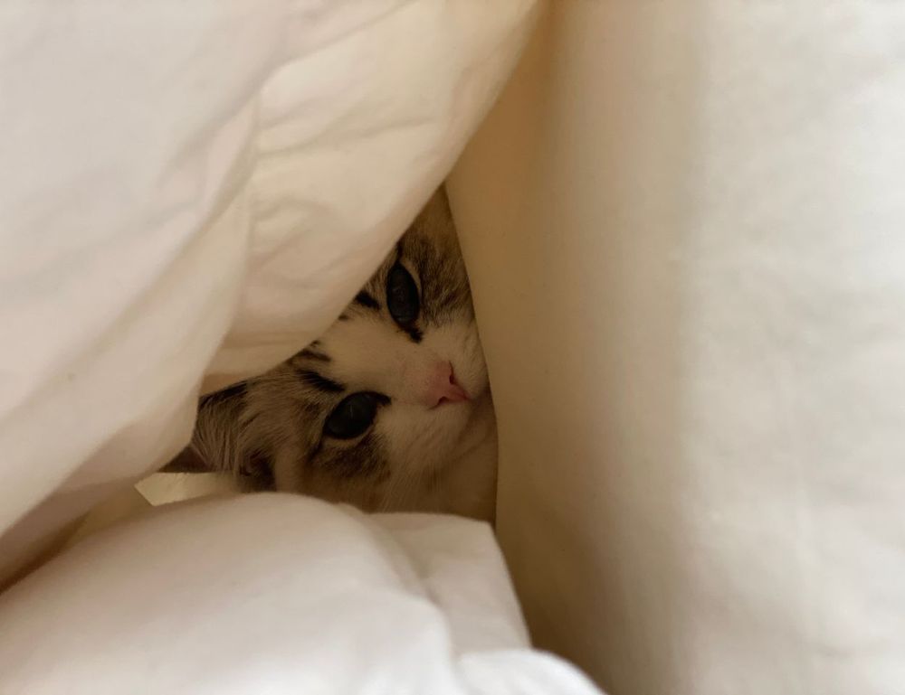 what financial planning is about ontpinvest