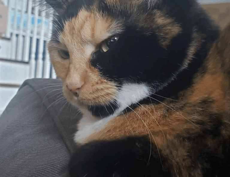 why invest in apartments ontpinvest