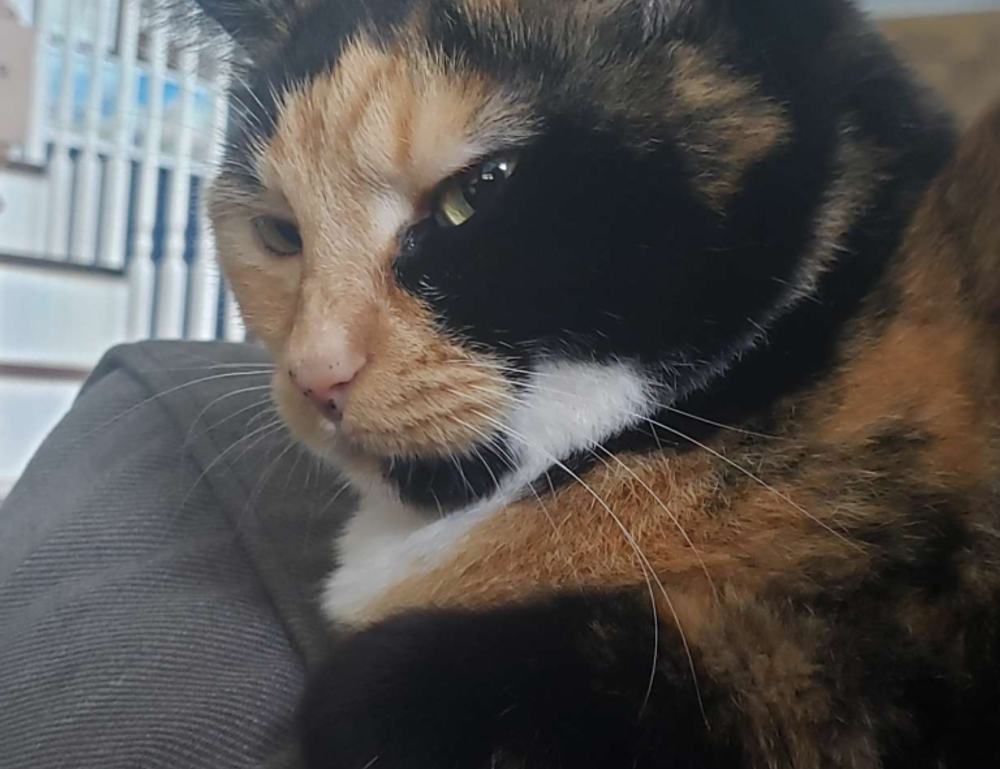 why invest in apartments ontpinvest