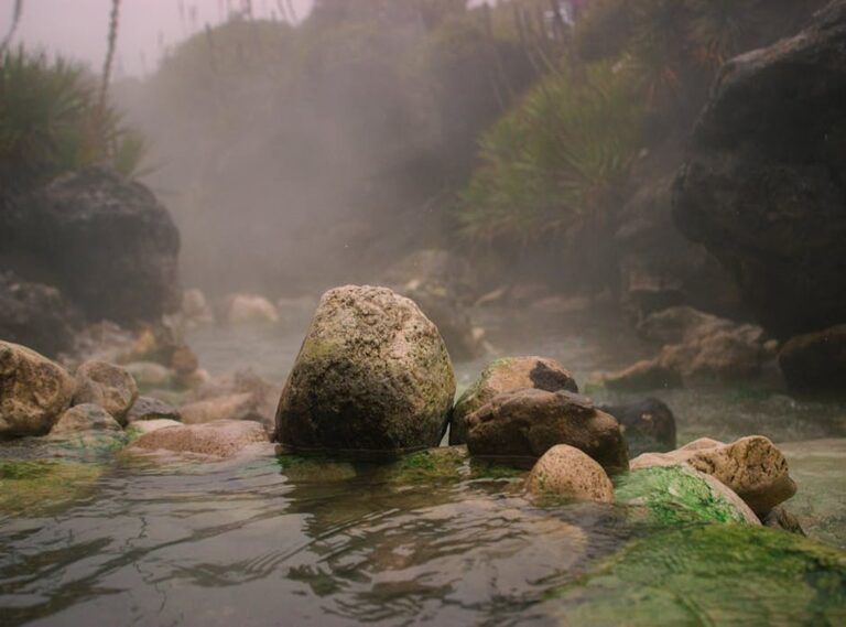 lagertha actriz cuerpo