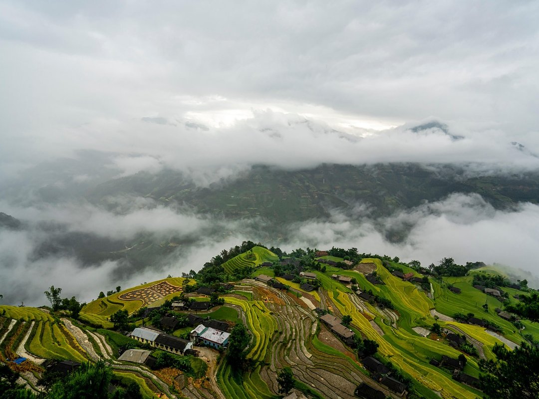 What Are some Financial Advice Ontpeconomy