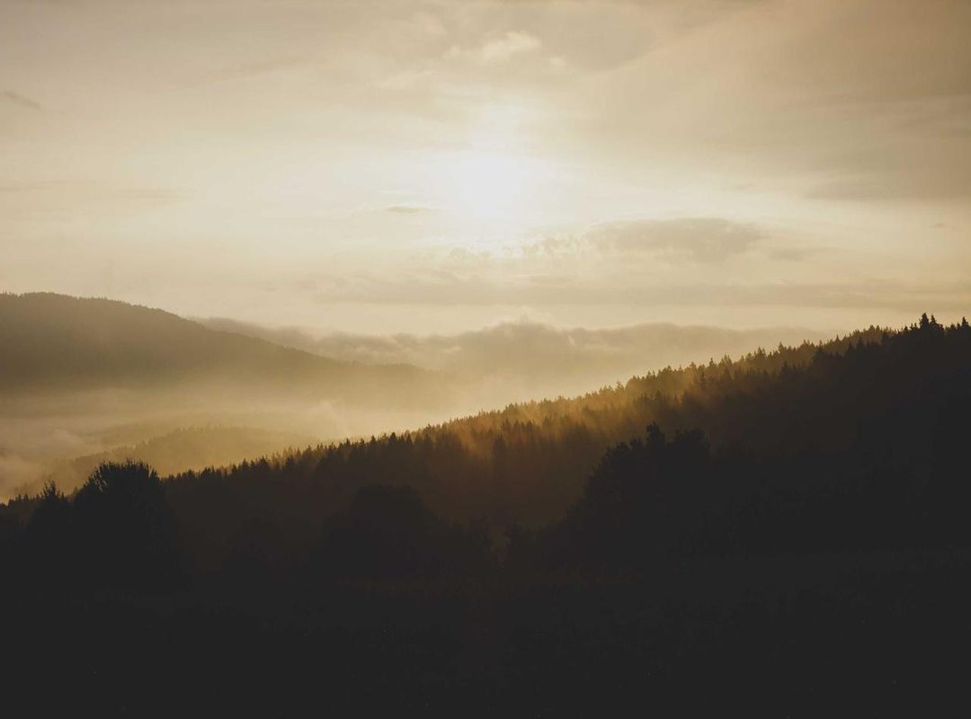 Frequently Asked Questions (FAQs)