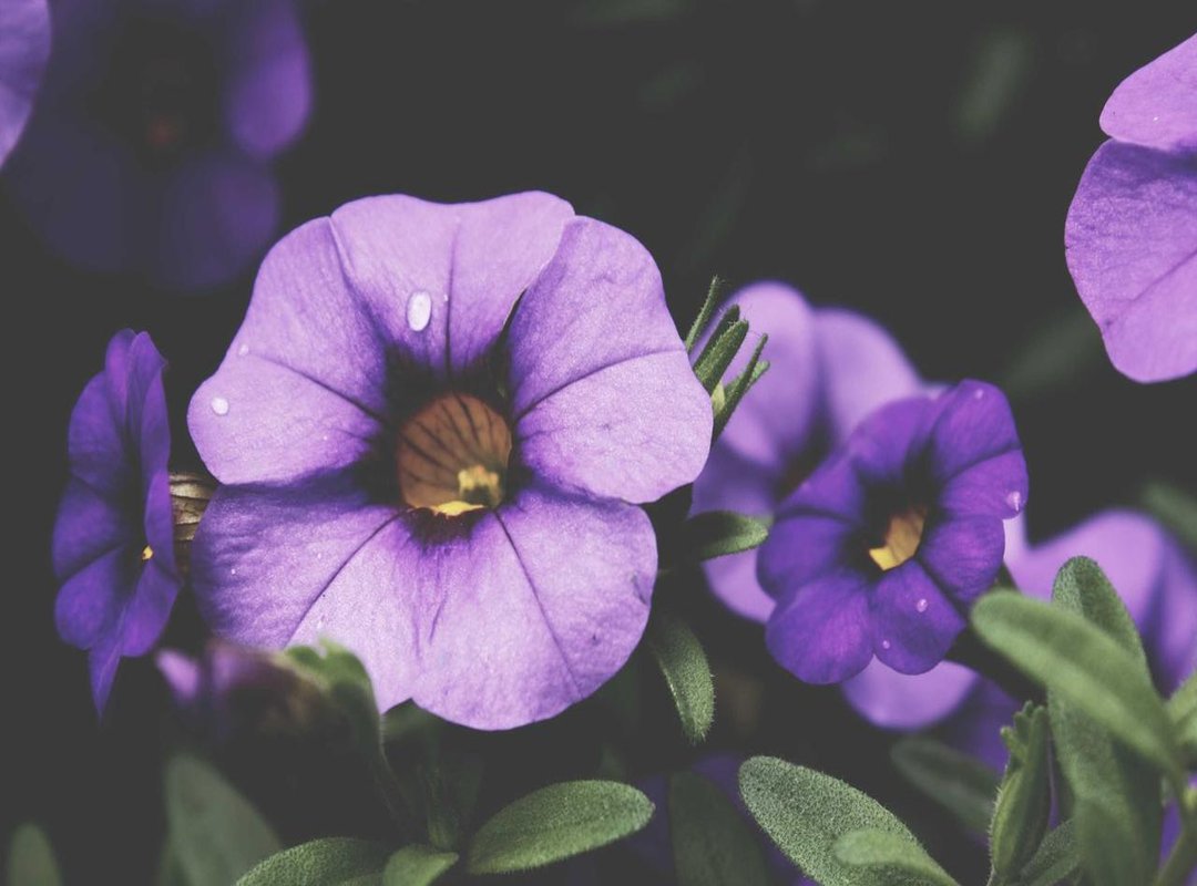 Pricing Context: What 12,000 UF Represents