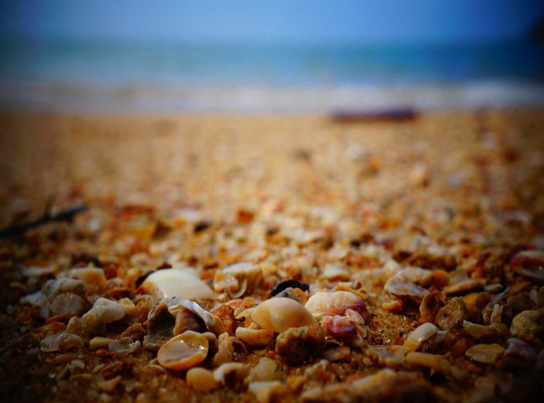 Actionable Steps to Take When You See 15:51