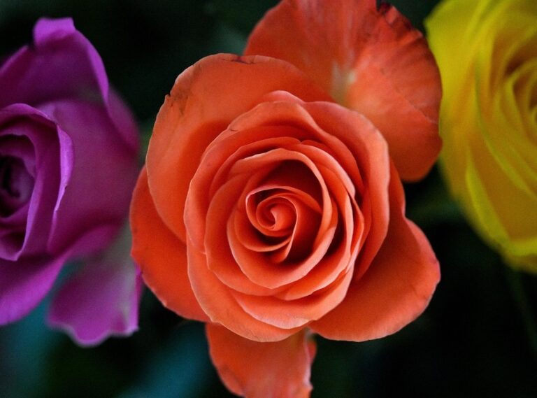 abby wellington jon marianek