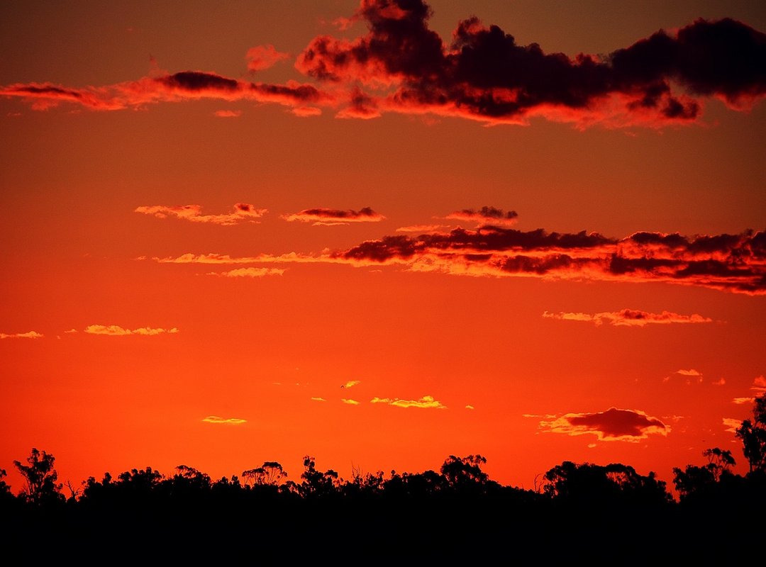 Was There Any Official Consequence from the NBA?