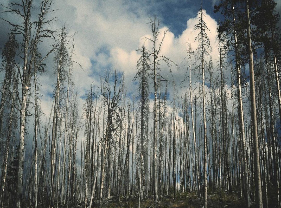 Choosing the Right GIF: Matching the Moment and the Person