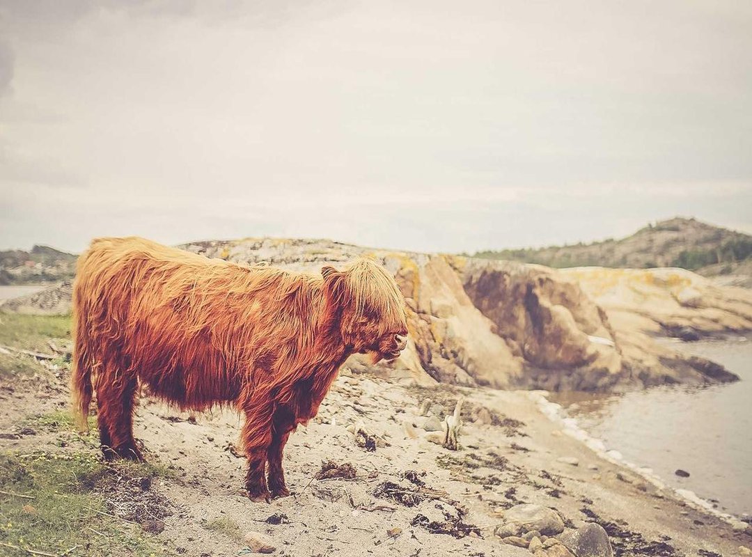 How to Watch The Nun II: Official Streaming & Rental Options