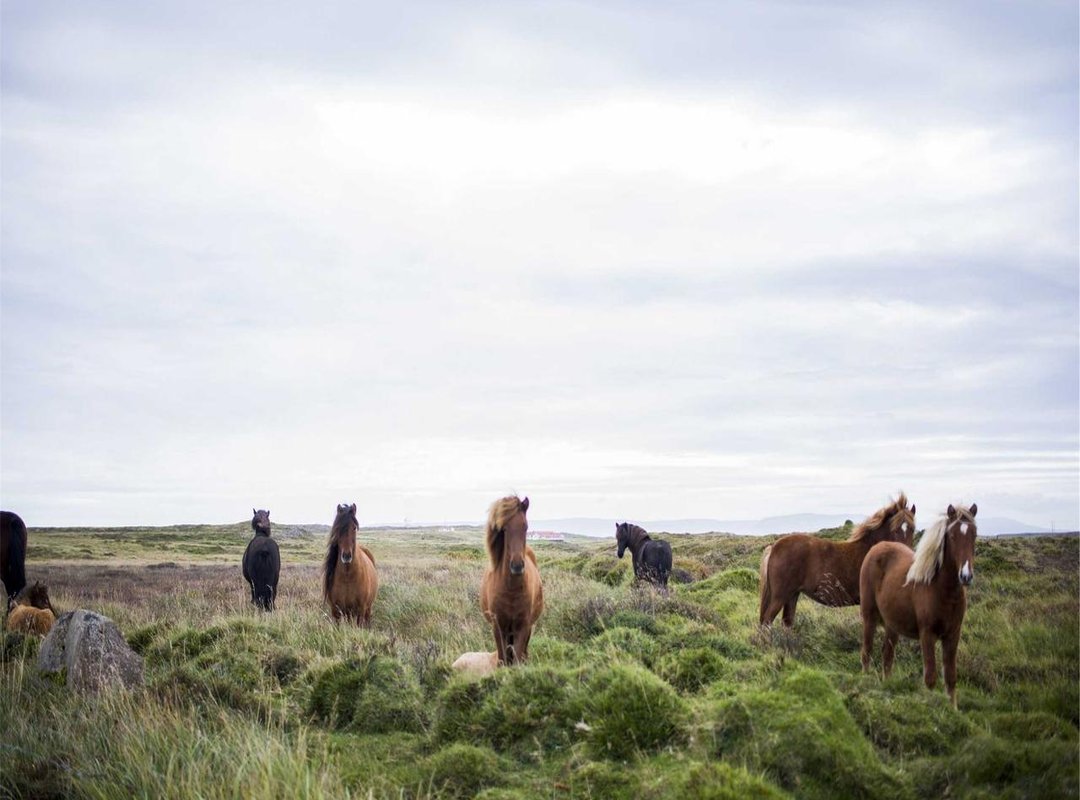 The Secret Formula: What Defines a Malaysian Heist Movie?