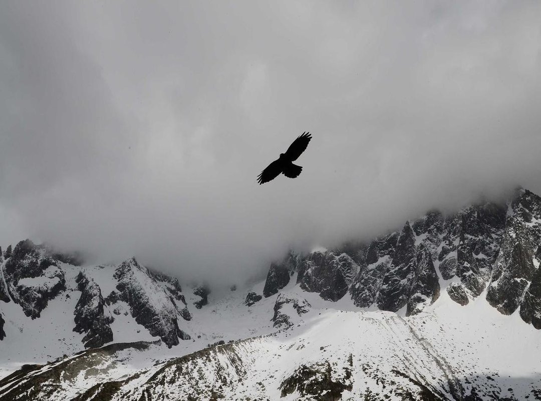 Behind the Scenes: Personal Insights and Interviews