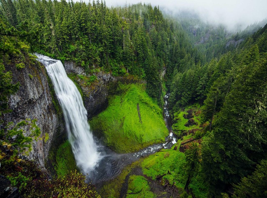 When to Go: Seasonal Surf Patterns in Buchupureo