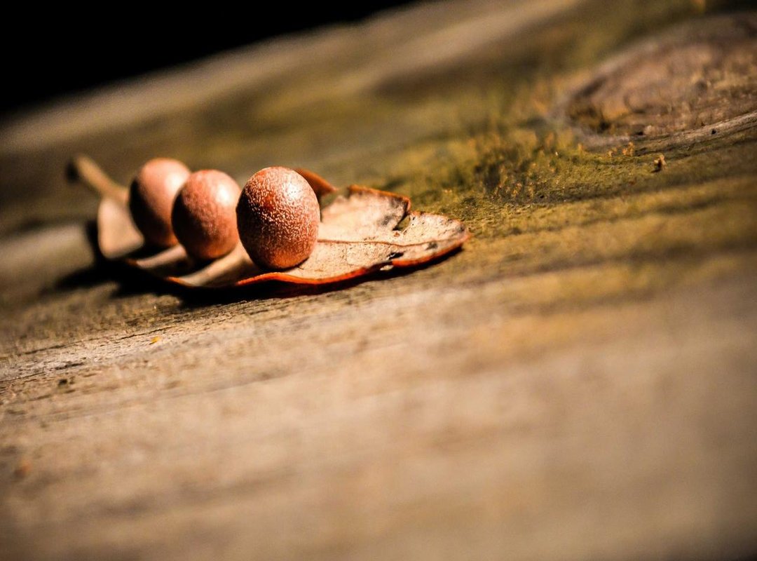 Two Lives, One Name: A Side-by-Side Comparison