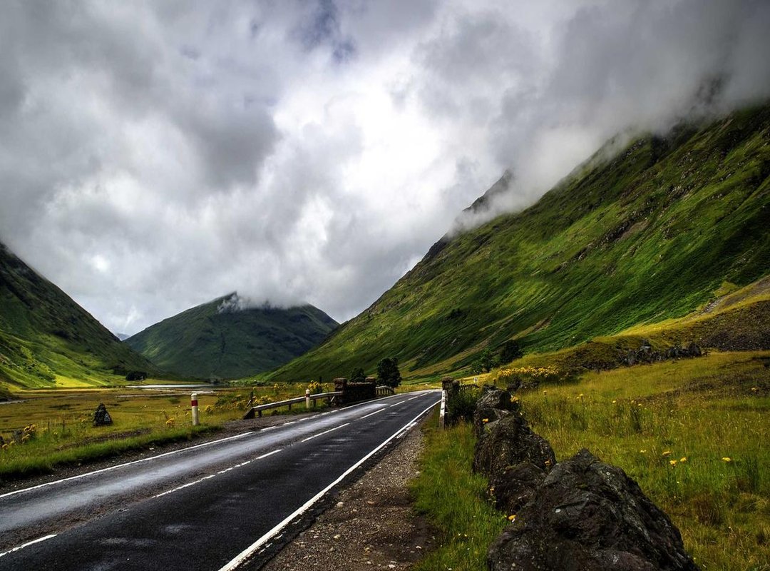 Achieving the Look: Printed Wallpaper vs. Digital Alternatives