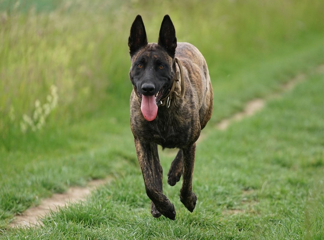 A Quick Guide to 'Haul Video' Slang